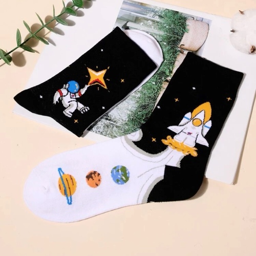 A pair of Space socks