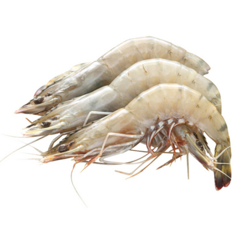 Whole Shrimps