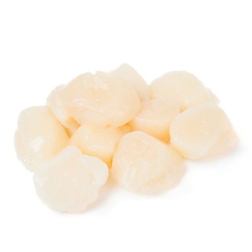 Scallops Jumbo 1kg - Frozen Scallops Jumbo 1kg