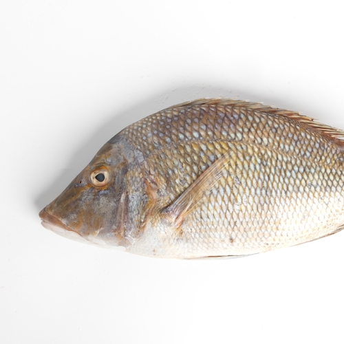Kuwaiti sharee1 kg