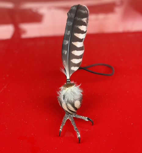 hawk claw Pendant