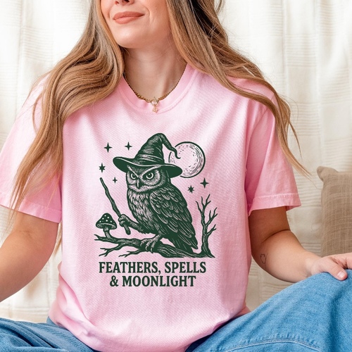 Feathers Owl