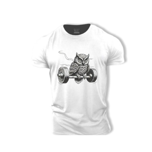 Owl gym