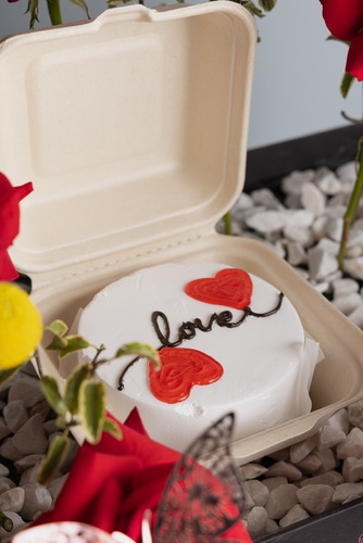 J 91 cake box
