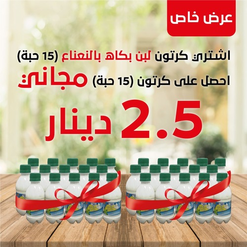 Pegah Doogh With Mint 1+1 CTN Free - buy 1 CTN ( 15 PCS ) +1 CTN Free