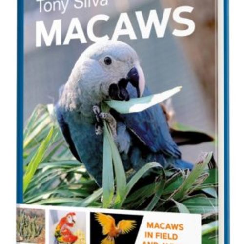 MACAWS IN FIELD AND AVIARY BY TONY SILVA - This book not only describes the basic morphology and data of all the species of macaws, but for the first time includes unpublished information about the history of each species in captivity, its trade, the growth rate of youngsters and more, all laboriously collected during years of intense work. This is one of the most interesting accounts of the whole book. If this were not enough, Tony also provides us with important and first-hand data about feeding, nutrition, nesting habitats and the clinical aspects of these birds.