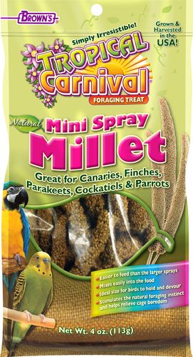 Brown's TC Mini Spray Millet - This millet spray is a delicious treat and an excellent source of protein and energy for your bird.