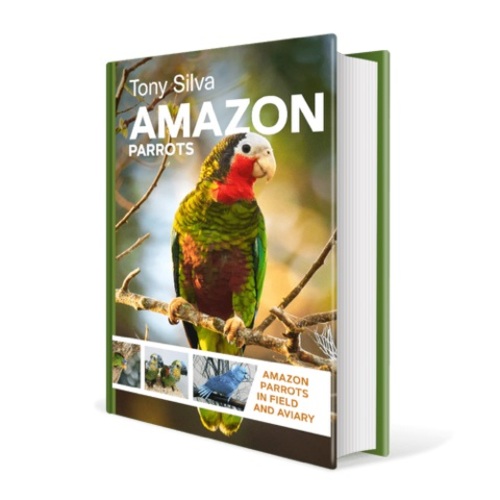 PET SHOP  - AMAZON IN FIELD AND AVIARY BY TONY SILVA - This book not only describes the basic morphology and data of all the species of Amazon, but for the first time includes unpublished information about the history of each species in captivity, its trade, the growth rate of youngsters and more, all laboriously collected during years of intense work. This is one of the most interesting accounts of the whole book. If this were not enough, Tony also provides us with important and first-hand data about feeding, nutrition, nesting habitats and the clinical aspects of these birds.