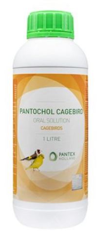 PANTOCHOL CAGEBIRD 1 liter - Improvement of condition and natural resistance. Protection of kidneys, liver and nervous system. Promotion of protein metabolism and muscle building. Improvement of energy utilization and metabolism of fatty acids, thanks to L-carnitine. Support of the intestinal health. Extra support during the breeding season. Optimal feather development. Recommended after vaccinations, antibiotic treatment. Pantochol Cagebirds is indicated to administer before and during breeding season, during moulting and before shows.