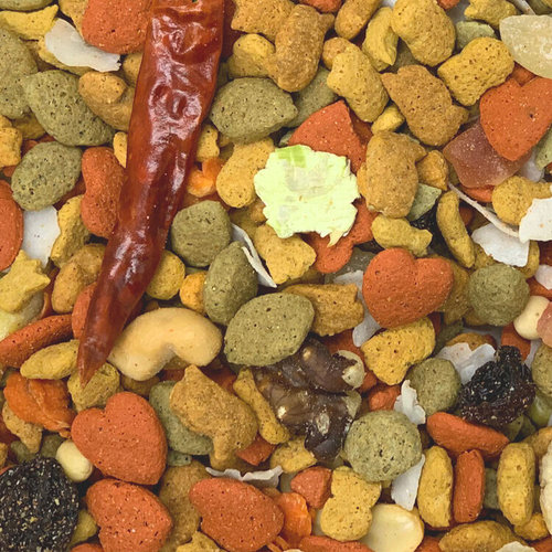 INTUNE HARMONY parrot, 3lb
