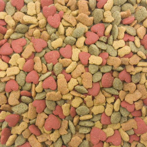 INTUNE parrots, 3lb