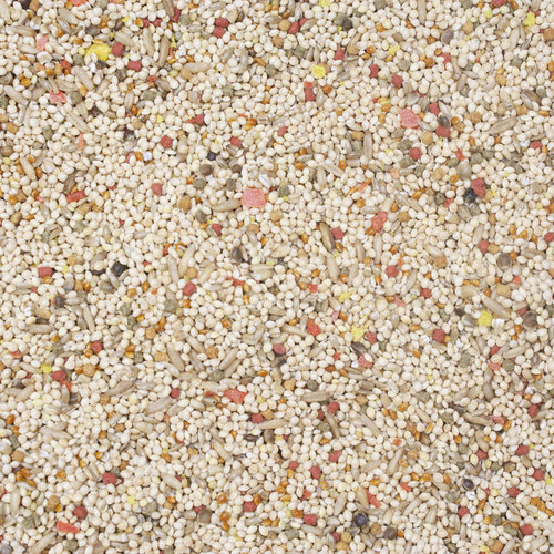 فيتا سيد للطيور الصغيرة , 1.13 Kg