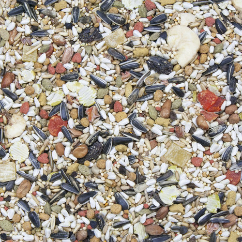 VITA SEED FOR CONURE, 1.13 Kg
