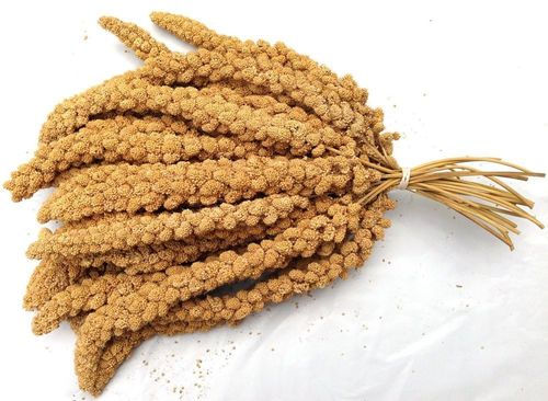 Brown's TC Mini Spray Millet