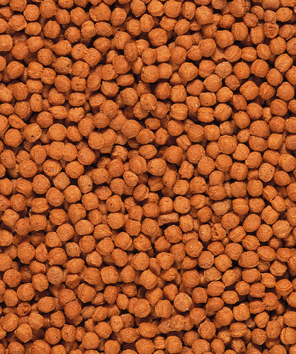 T16 pellets for insect eater birds  From Versele laga,