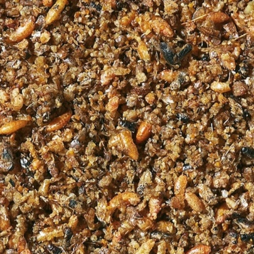 INSECT PATEE from Versele laga, 1kg