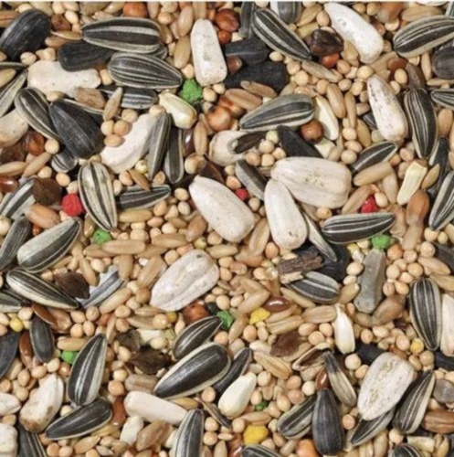 Large Parakeets Base mixture    , 20 kg