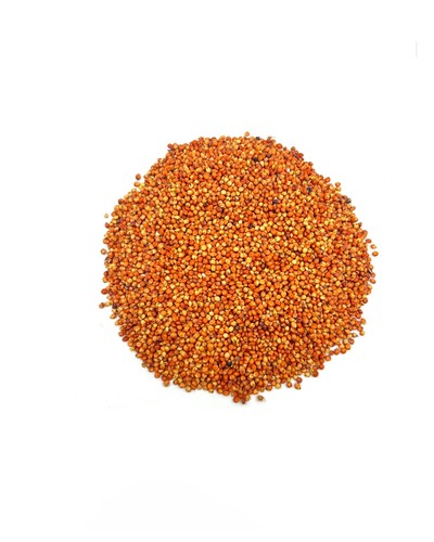 ذره حمراء يمني