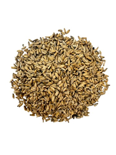 Milk thistle seeds - 🌿 Benefits of Milk Thistle Seeds:1. ✅ Liver Health
Supports liver function and protects it from toxins.
Used in treating liver diseases like cirrhosis and fatty liver.
2. 🛡️ Antioxidant & Anti-inflammatory
Contains silymarin, a powerful antioxidant.
Helps reduce chronic inflammation.
3. 🍽️ Improves Digestion
Stimulates bile production.
Reduces gas and bloating.
4. 🩺 Regulates Blood Sugar
May help type 2 diabetes patients lower blood sugar levels.
5. 💆♀️ Skin Health
Improves skin glow and reduces wrinkles.
Used in some cosmetic products.
6. ❤️ Heart Health
May help lower bad cholesterol (LDL) and raise good cholesterol (HDL).
🧴 How to Use:
Milk Thistle Seed Tea:
Grind 1 teaspoon of seeds.
Add to a cup of hot water.
Let steep for 10–15 minutes, then strain and drink.
Recommended 1–2 times per day.
