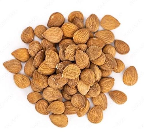 بذور المشمش