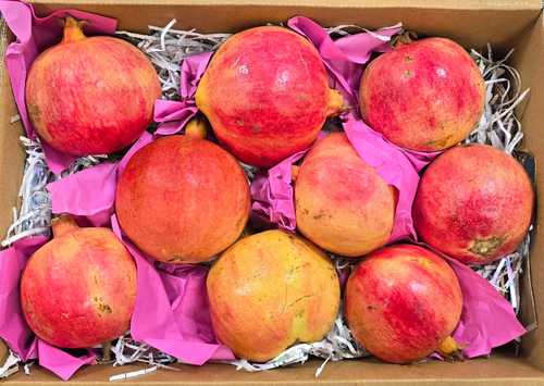 كرتون رمان يمني