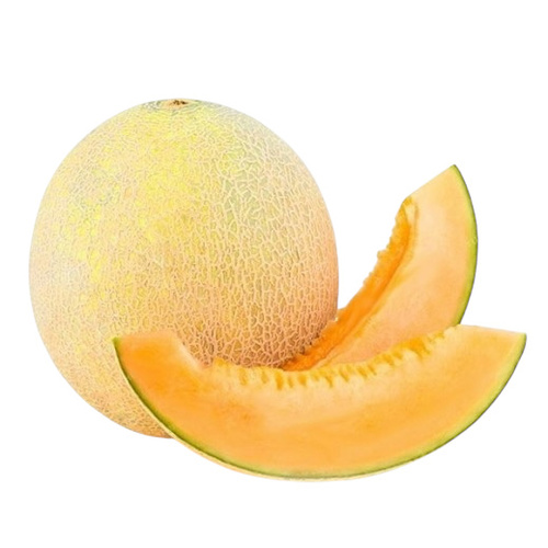 شمام اردني
