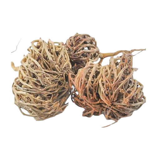 Chasteberry Herb