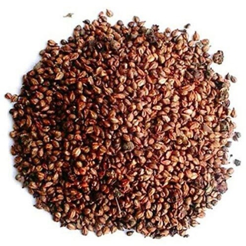بذور العنب