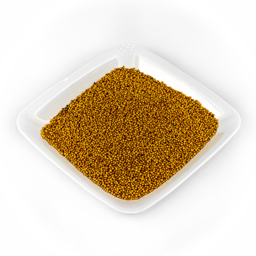 خردل اصفر