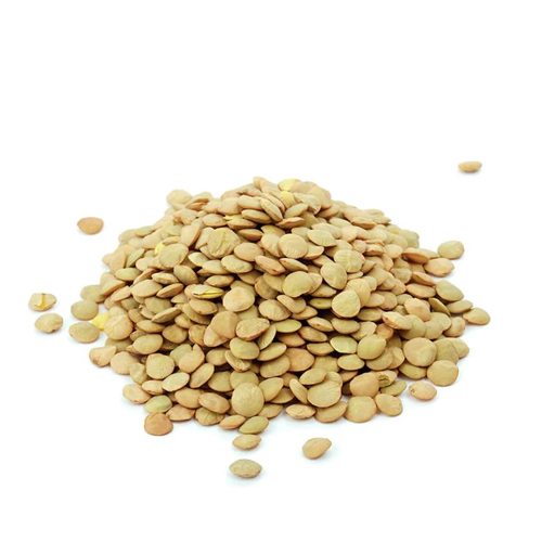 Green lentils