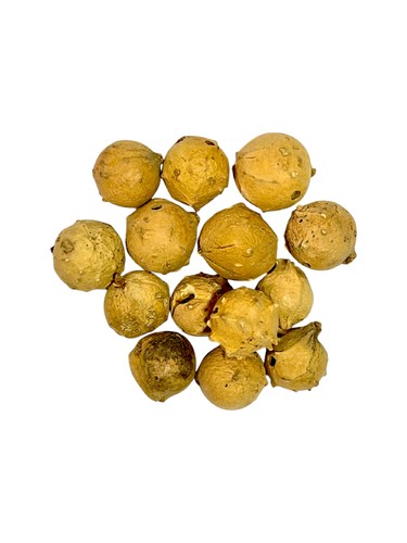 Thuja herb - Benefits
Tightening the vagina after childbirth
Treating vaginal infections and fungal infections
Lightening sensitive areas
Cleaning and speeding up wound healing
Antibacterial and antifungal properties
How to UseFor vaginal tightening and cleansing:
Take one teaspoon of gallnut powder, dissolve it in a cup of warm water, and use it as a vaginal wash once or twice a week only.
For wound cleansing or treating hemorrhoids:
Mix gallnut powder with a little water or coconut oil and apply the mixture topically on the affected area.