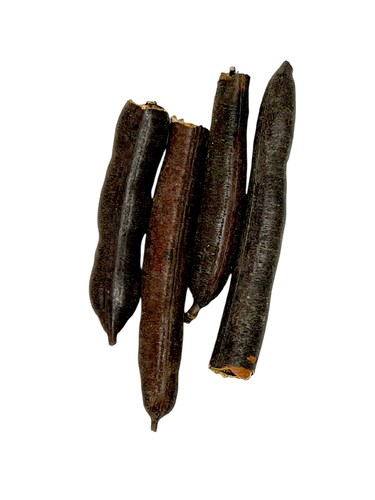 Money cane - Benefits
Antibacterial and Antiviral
Treats food poisoning and removes toxins
Stimulates blood circulation
Beneficial for the respiratory system (treats cough and throat infections)
Good for the liver and kidneys
Antifungal
Improves digestion and treats constipation
Reduces joint pain and rheumatism
Enhances skin health
How to Use
Boil pieces of sugarcane stalk in water and drink 1-2 times daily.
For cough and throat infections: Drinking sugarcane stalk decoction soothes the throat.
For improving digestion: Drink sugarcane stalk decoction after meals.