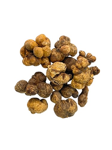 كرمع حب