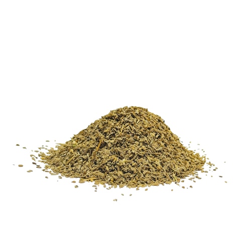 بذور الجزر