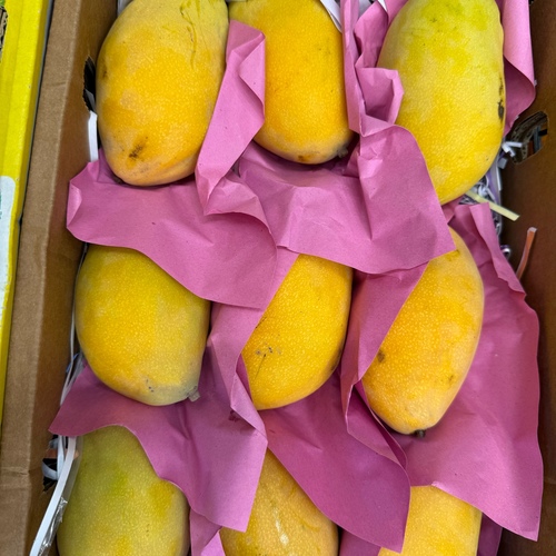 Yemeni mango  kg