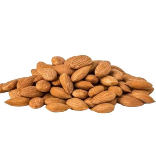 بذور المشمش