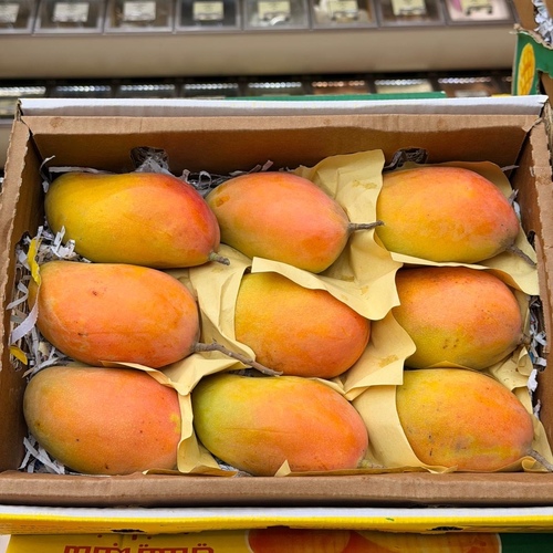 مانجو يمني - السعر للكرتون تعتبر المانجو اليمنى التيمور محصول نادر&nbsp; بسبب ان وجودها يكون مرة واحدة فى السنة المانجو التيمور من مزارعنا فى اليمن مباشرة للزبون