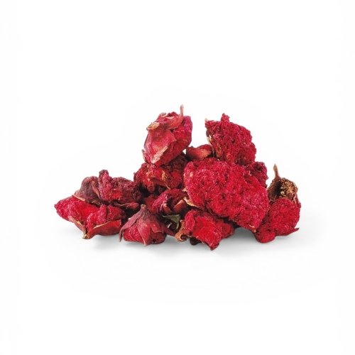 Pomegranate Flower