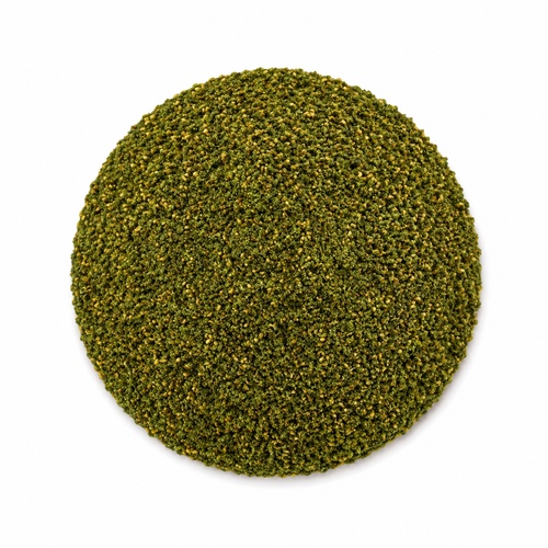 Regular Jordanian thyme