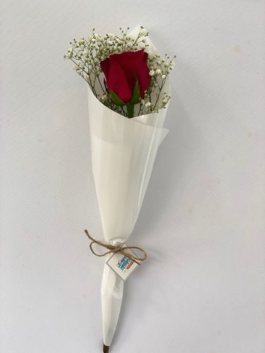 Rkn Flowers  - Towjiyath joori with gypso and card - مع جوري نمنم عباره