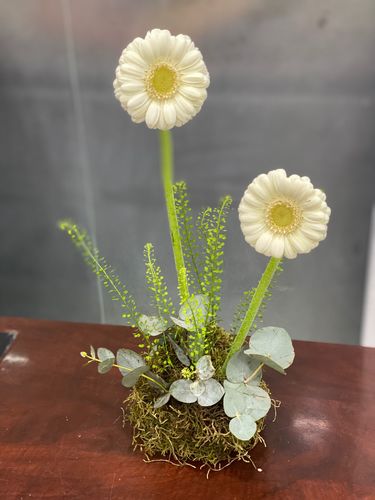 GERBERA ARRANGEMENT