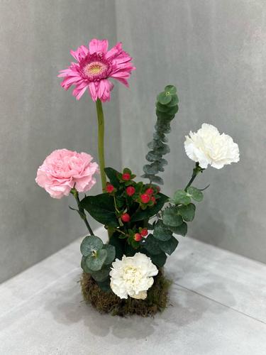 centerpiece small gerebera and coronful