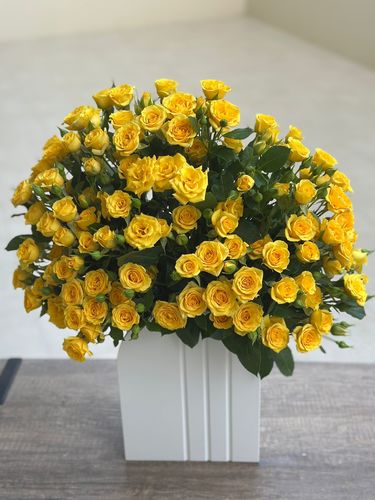 STAND KHASAB YELLOW