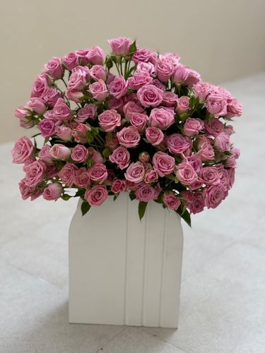 STAND KHASAB PINK - 20 PIECES