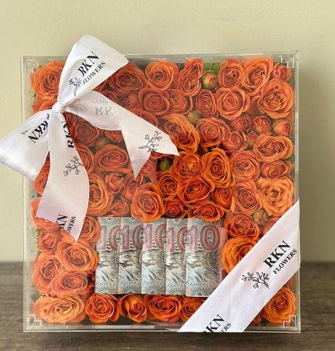 AQRALLIC BOX ORANGE