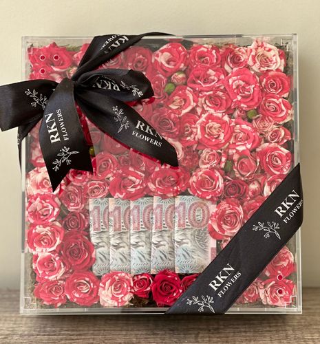AQRALLIC BOX DOUBLE RED