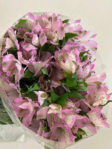 ALSTROEMERIA LIGHT PURPLE - 10 PCS