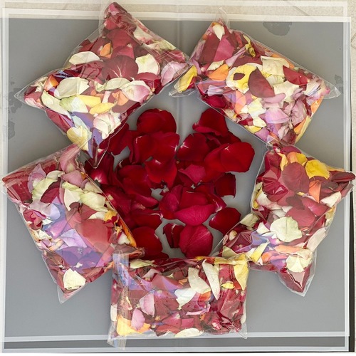 PETALS - واحد اشتري 2 مجاني