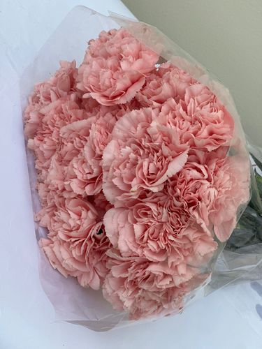 CORONFUL PINK - 20pcs