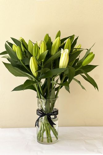CASABLANCA WHITE VASE - 10 stems
